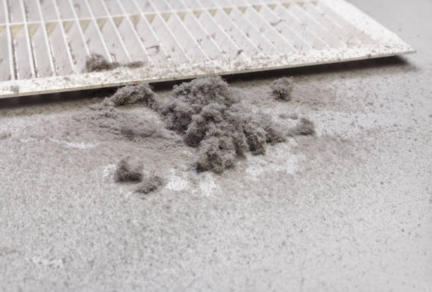 Best HVAC System Cleaning  in Meyers, CA