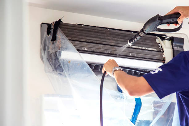 Air Duct Mold Removal in Meyers, CA